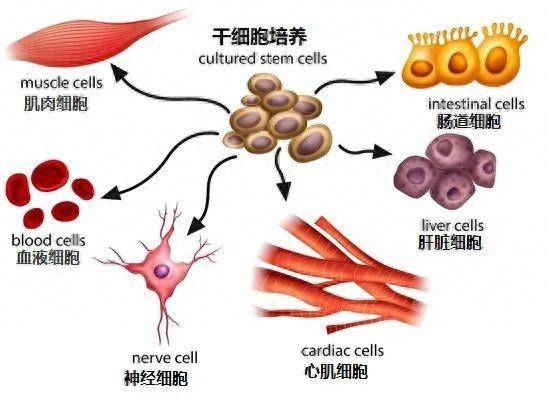 项目管理培训 第19页
