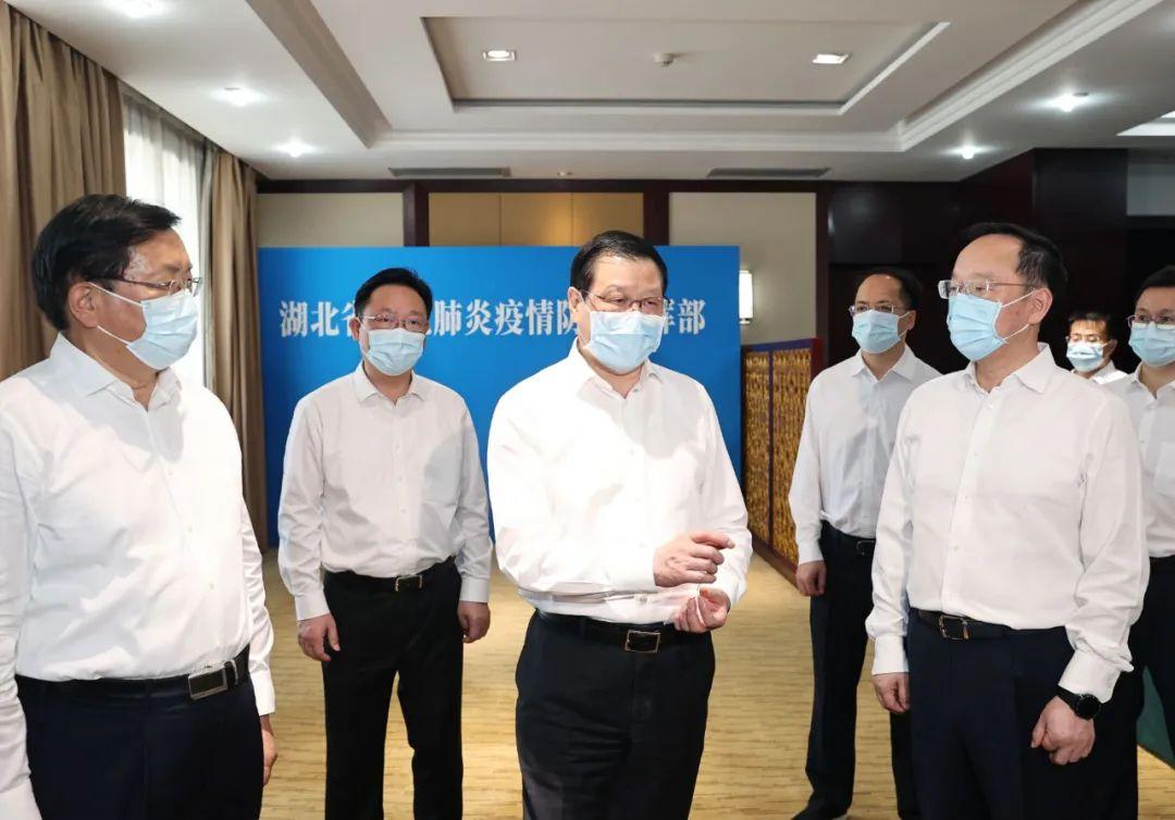 疫情最新动态，早期情况与今日新增病例深度分析
