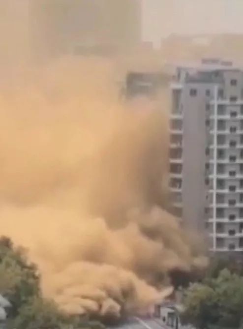 捷红豆