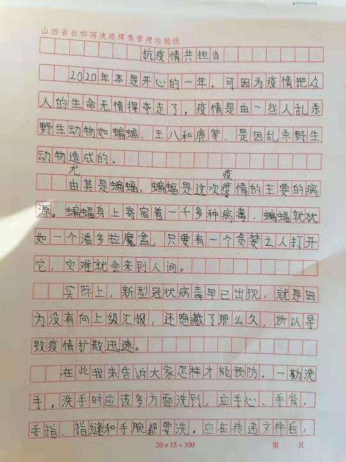 疫情初现，探索与反思的篇章